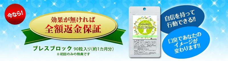 �u���X�u���b�N���T�C�g