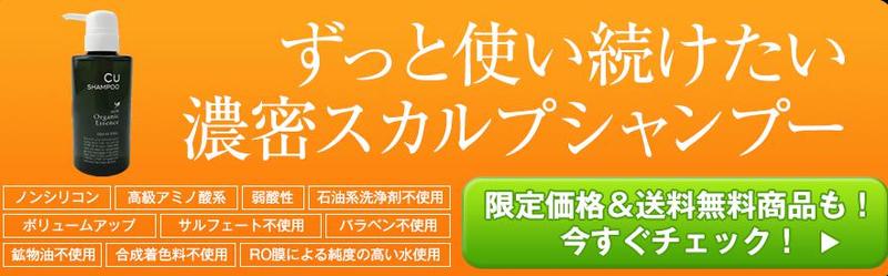 �`���b�v�A�b�v�V�����v�[���T�C�g